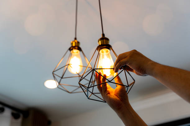 Best Electric Panel Repair  in Shenandoah, VA